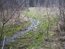 Шарапово болото